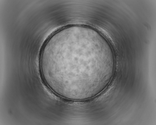 X0000112890942200909111501