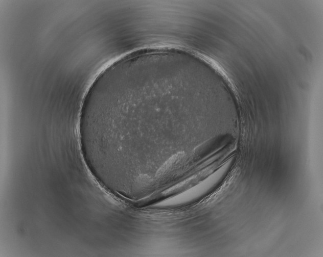 X0000112890943200909111501