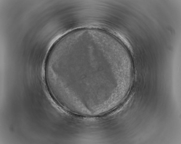 X0000112890944200909111501