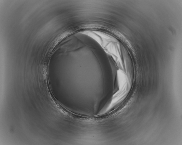 X0000112890945200909111501