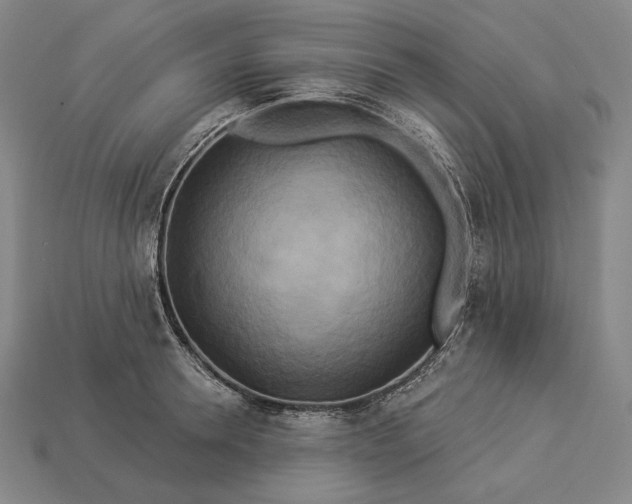 X0000112890946200909111501