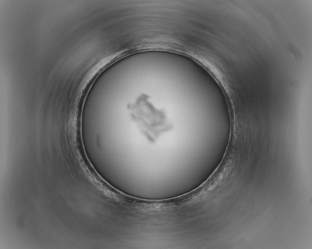 X0000112890949200909111501