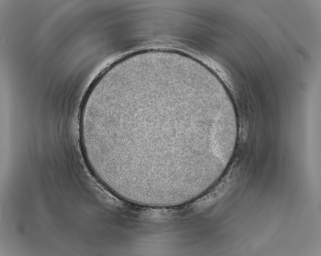 X0000112890950200909111501