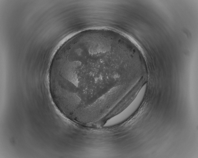 X0000112890951200909111501