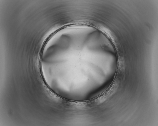 X0000112890952200909111501