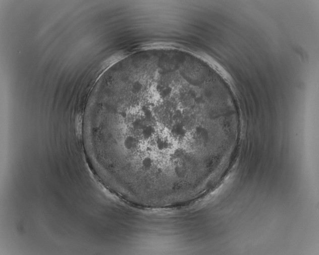 X0000112890953200909111501