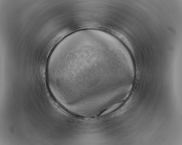 X0000112890954200909111501