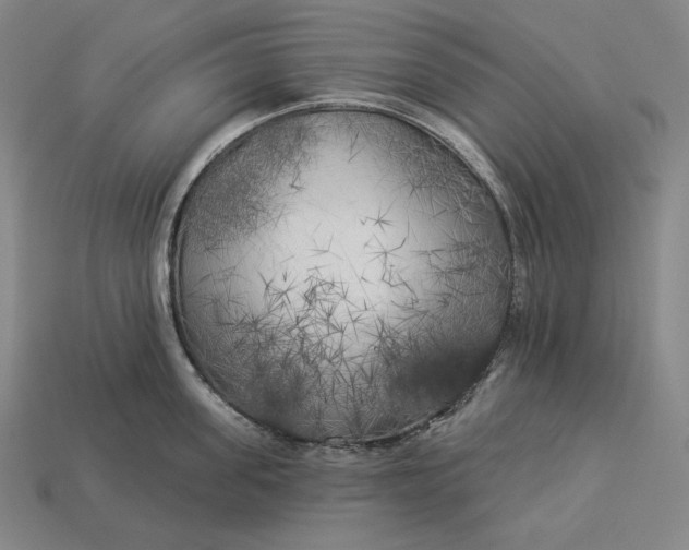 X0000112890955200909111501