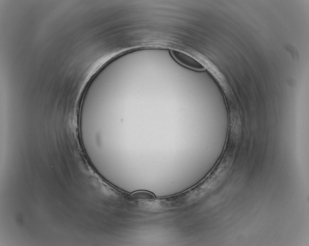 X0000112890956200909111501