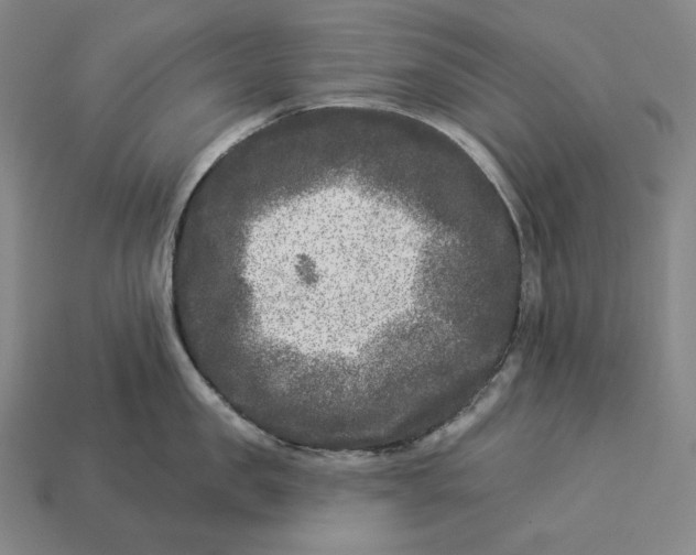 X0000112890957200909111501