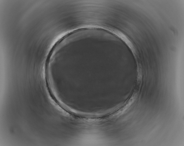 X0000112890958200909111501
