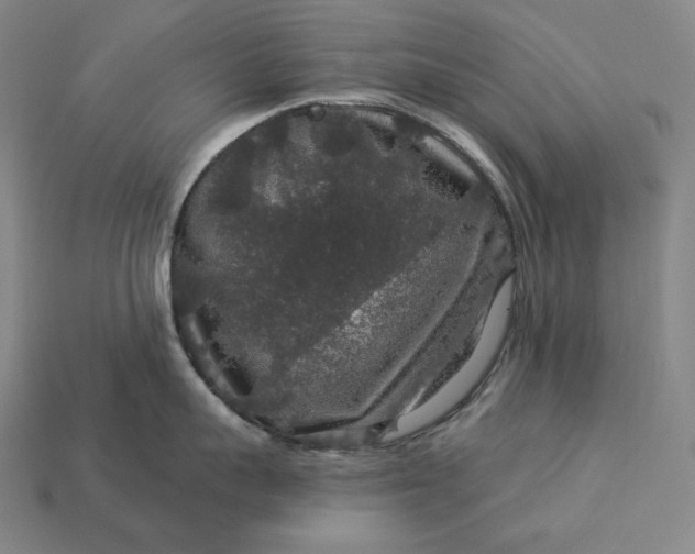 X0000112890959200909111501