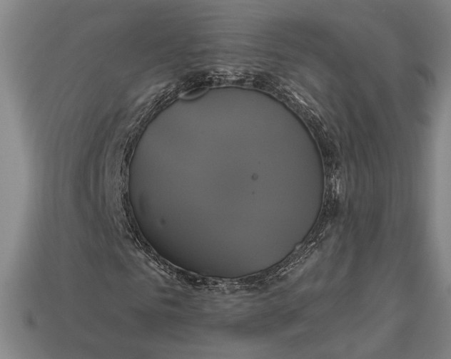 X0000112890961200909111501