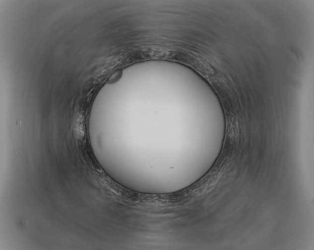 X0000112890962200909111501