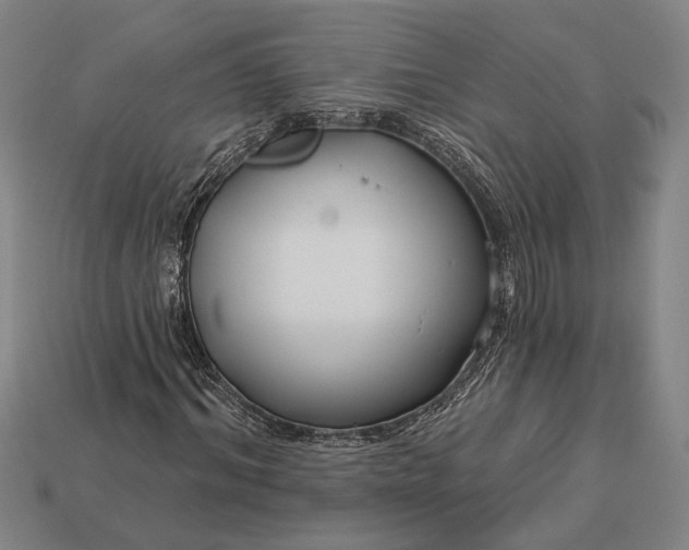 X0000112890964200909111501