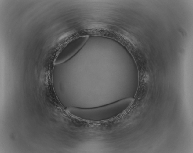 X0000112890965200909111501