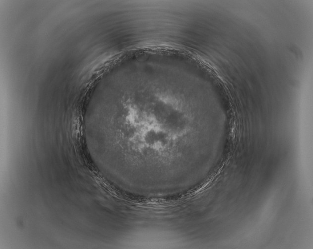 X0000112890966200909111501