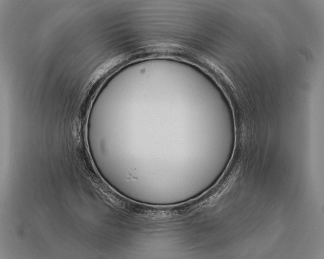 X0000112890970200909111501