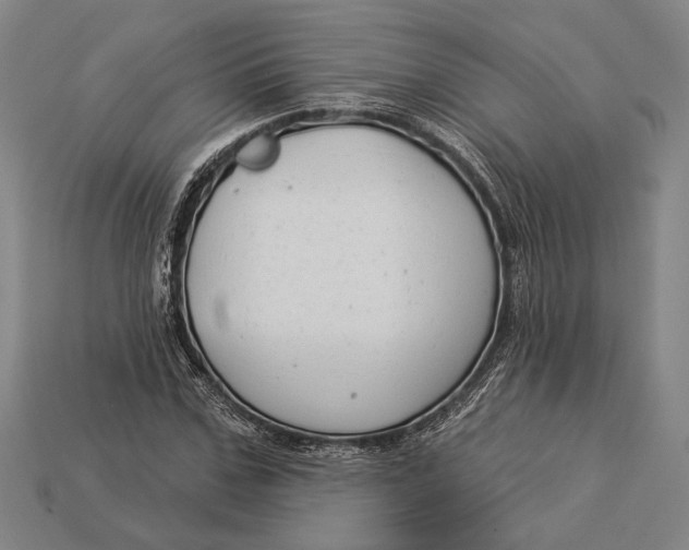 X0000112890971200909111501