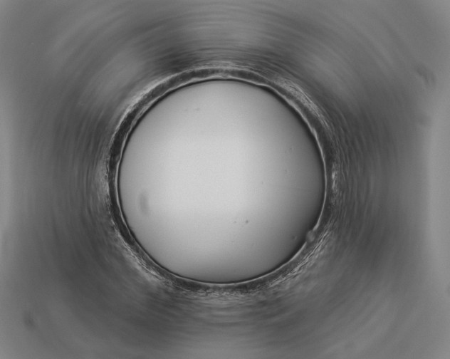 X0000112890972200909111501