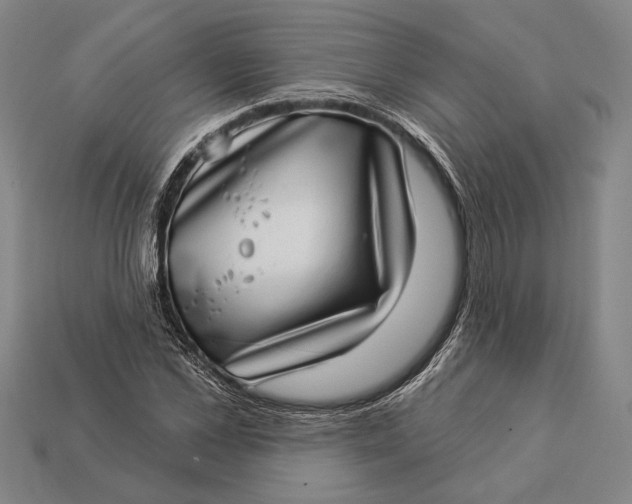 X0000112890973200909111501