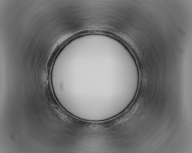 X0000112890974200909111500