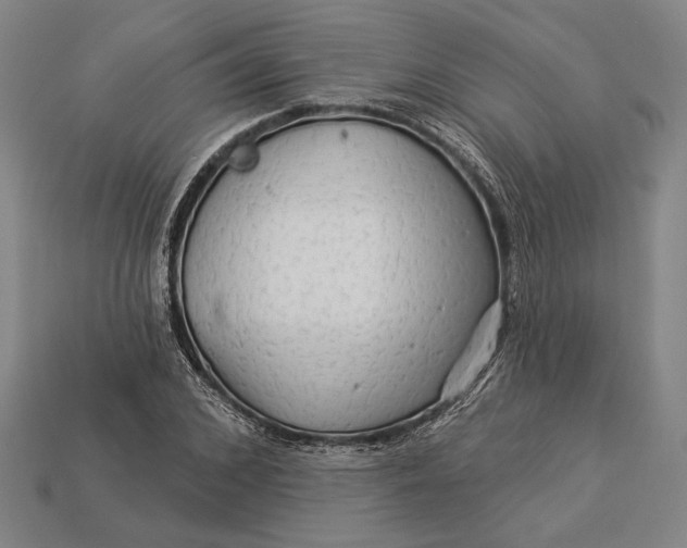 X0000112890976200909111500