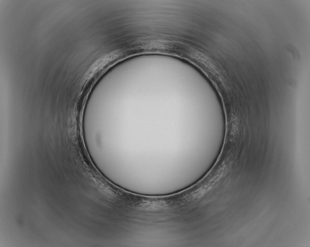 X0000112890978200909111500