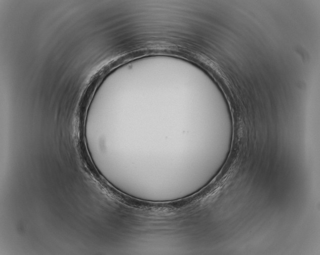 X0000112890979200909111500