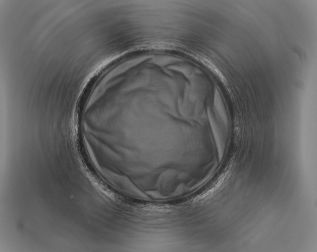 X0000112890981200909111500