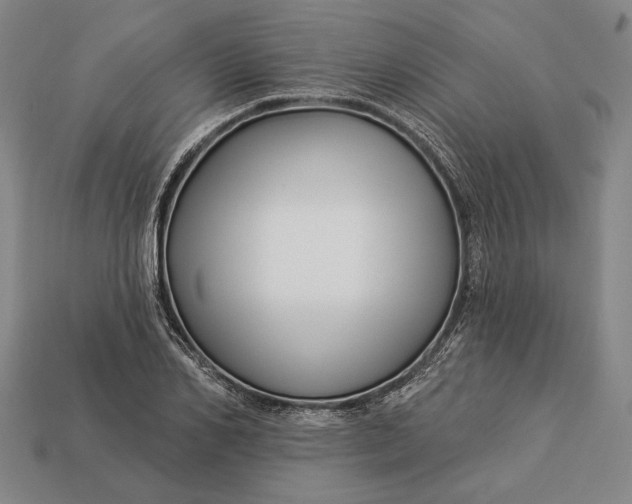 X0000112890982200909111500