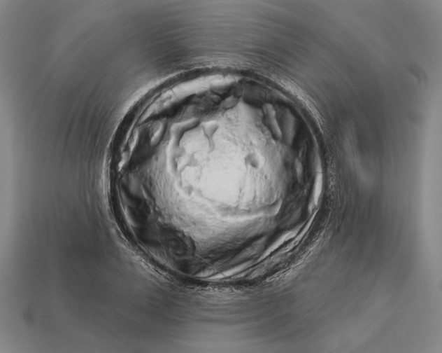 X0000112890983200909111500