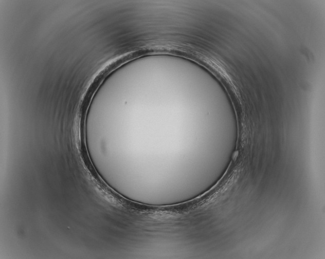 X0000112890984200909111500