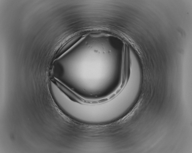 X0000112890985200909111500