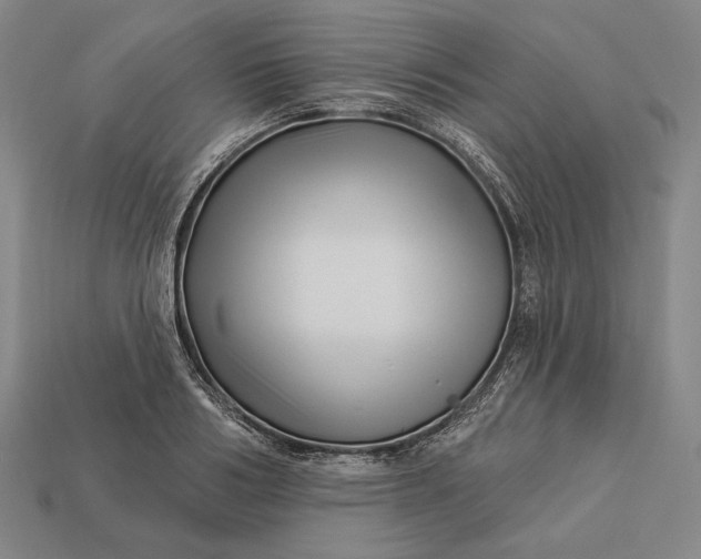 X0000112890986200909111500