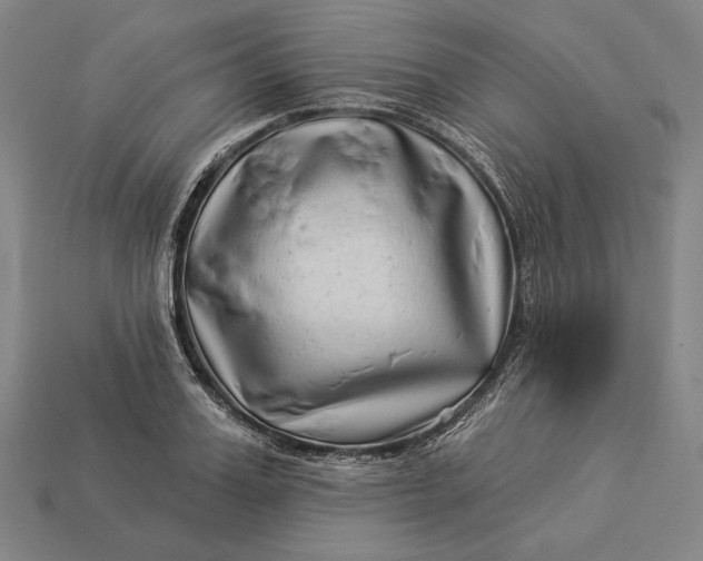 X0000112890987200909111500