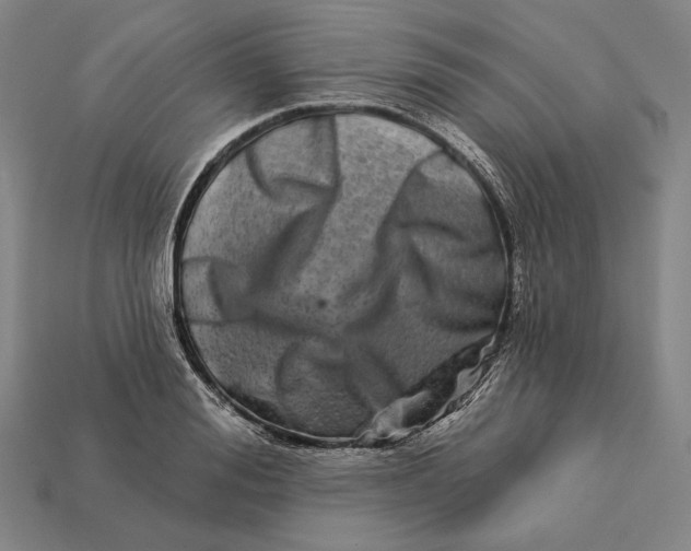 X0000112890988200909111500