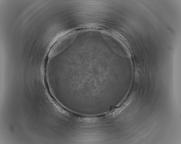 X0000112890989200909111500