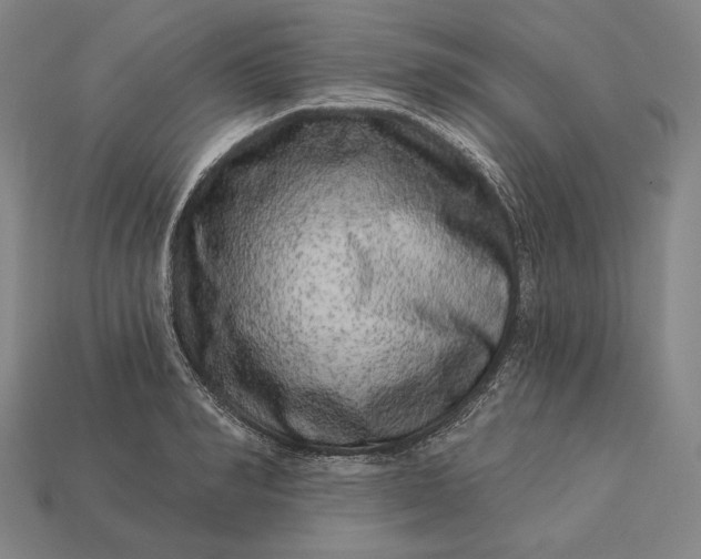 X0000112890990200909111500