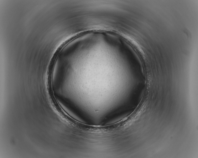 X0000112890991200909111500