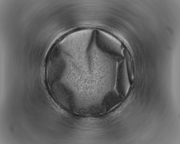 X0000112890992200909111500
