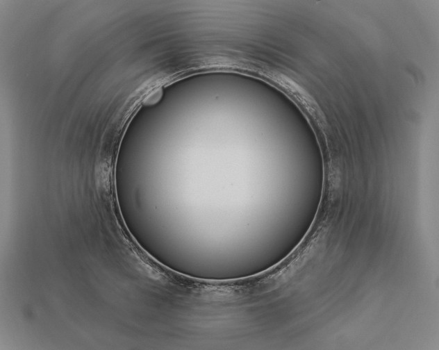 X0000112890993200909111500