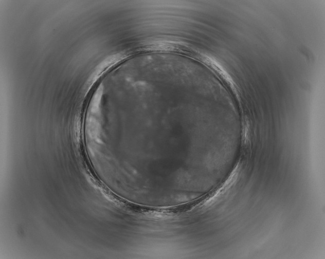 X0000112890994200909111500