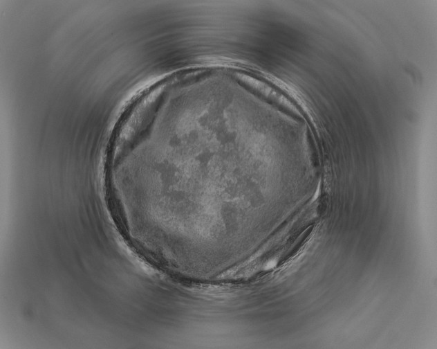 X0000112890995200909111500