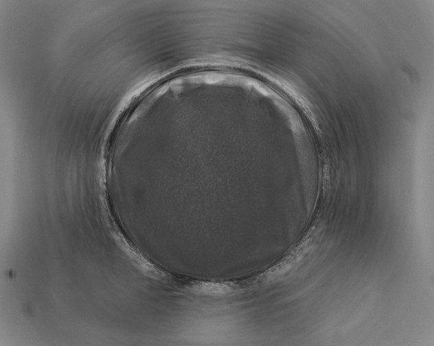 X0000112890998200909111500