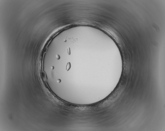 X0000112891000200909111500