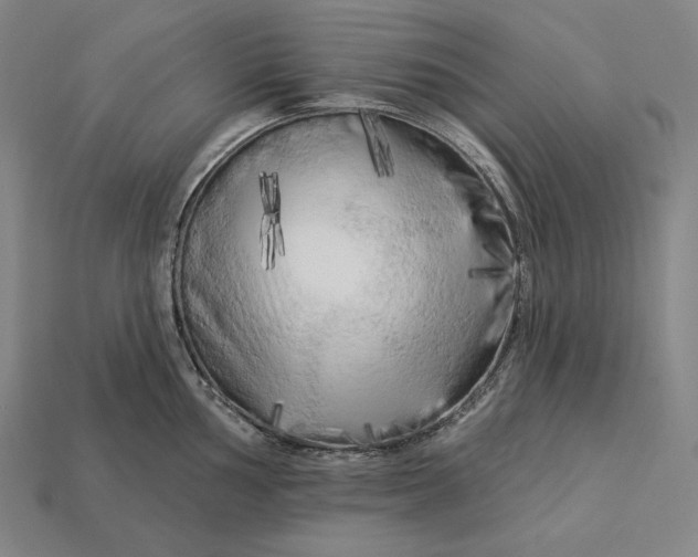 X0000112891002200909111500