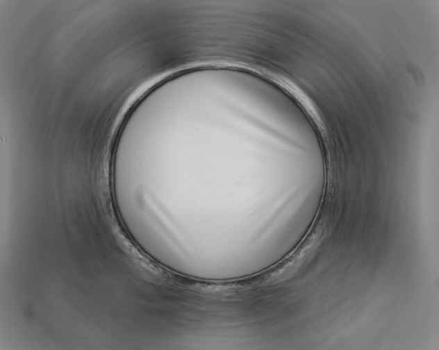 X0000112891004200909111500