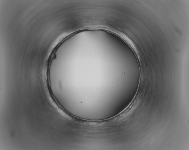 X0000112891005200909111500