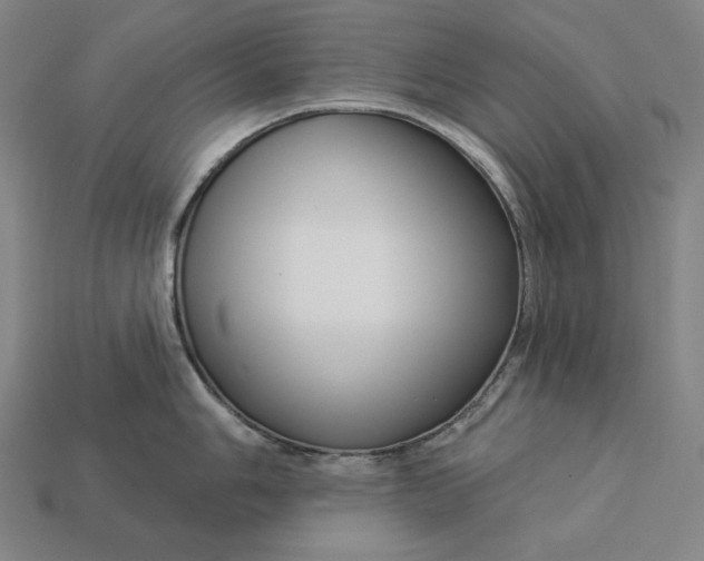 X0000112891006200909111500